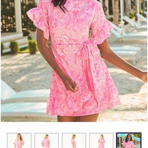 Lilly Pulitzer Dresses - Lilly Pulitzer Darla Dress NWT size 4 Lilly Pulitzer Dresses - Lilly Pulitzer Darla Dress NWT size 4